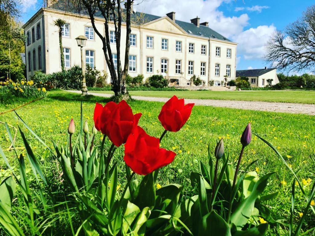 Hotel Du Chateau De Quinéville Dış mekan fotoğraf